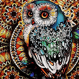 Diamond mosaic 30x30 cm Owl, 18 colors, level 3
