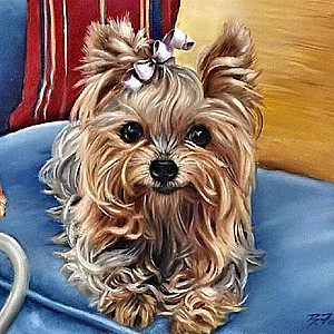 Diamond Mosaic 30x30 cm Yorkshire Terrier, 24 colors, level 3