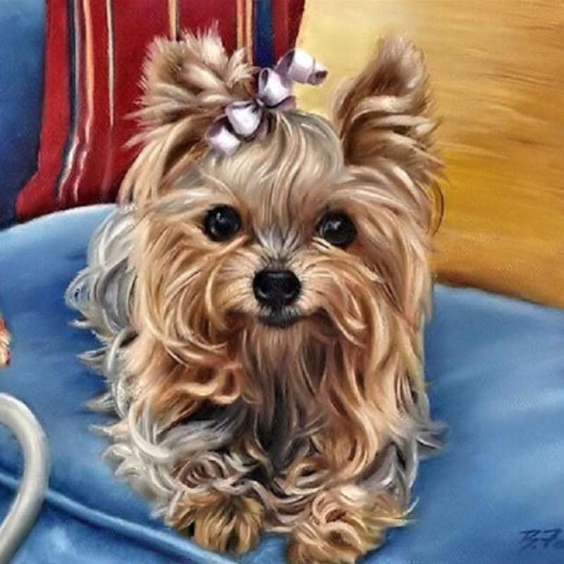 Diamond Mosaic 30x30 cm Yorkshire Terrier, 24 colors, level 3