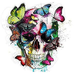 Diamond Mosaic 30x30 cm Skull with Butterflies, 24 colors, section 3