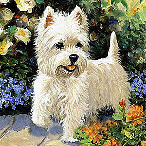 Diamond Mosaic 30x30 cm White Terrier, 24 colors, level 3