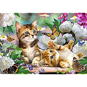 Diamond mosaic 30x40 cm Kittens with butterflies, 26 colors, set 4