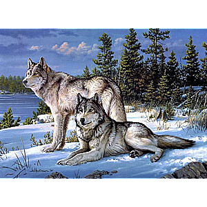 Diamond mosaic 30x40 cm Wolves on snow, 26 colors, level 4