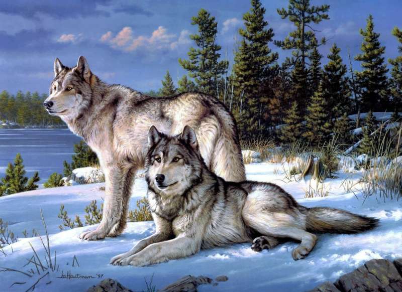 Diamond mosaic 30x40 cm Wolves on snow, 26 colors, level 4