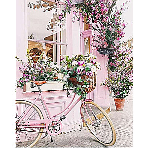 Diamond mosaic 30x40 cm Bicycle in flowers, 26 colors, level 4
