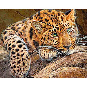 Diamond Painting 30x40 cm Leopard, 26 colors, set 4