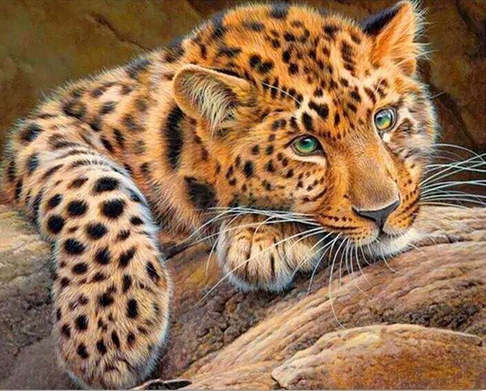 Diamond Painting 30x40 cm Leopard, 26 colors, set 4