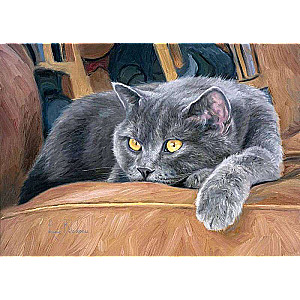 Diamond mosaic 30x40 cm British cat, 26 colors, level 4
