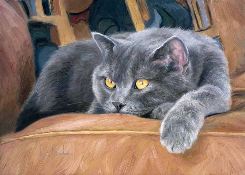 Diamond mosaic 30x40 cm British cat, 26 colors, level 4