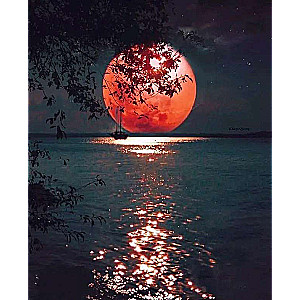 Diamond mosaic 30x40 cm Moon on the Lake, 26 colors, level 4