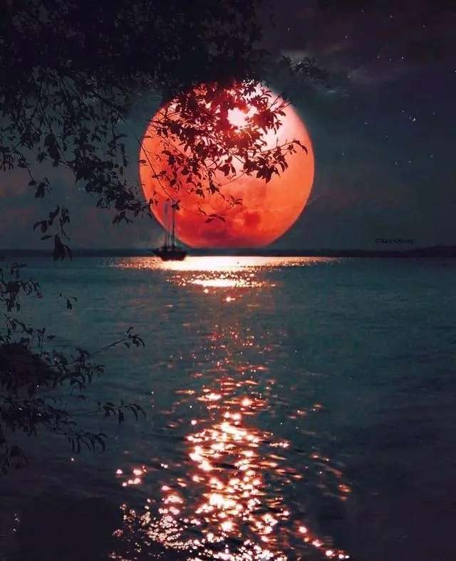 Diamond mosaic 30x40 cm Moon on the Lake, 26 colors, level 4