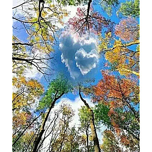 Diamond Mosaic 30x40 cm Autumn Sky, 26 colors, version 4