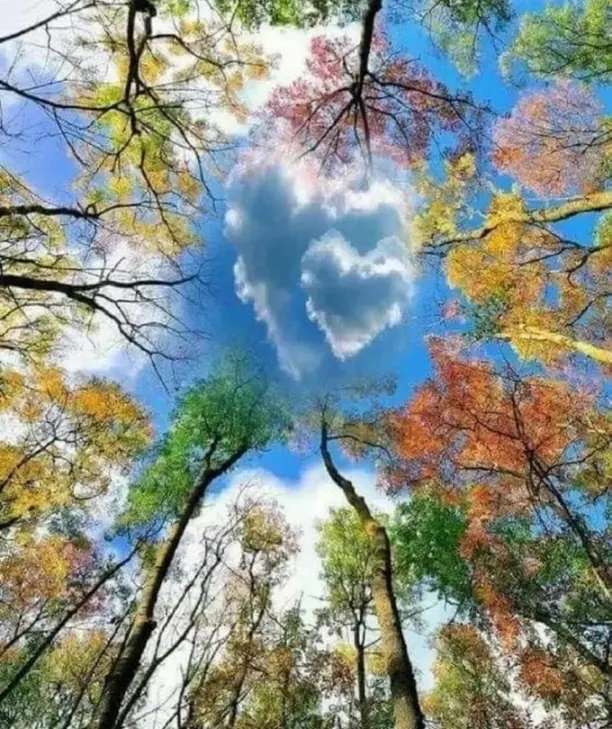 Diamond Mosaic 30x40 cm Autumn Sky, 26 colors, version 4