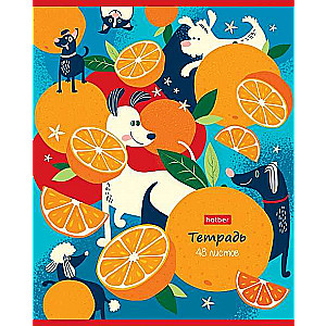 Notebook 48 sheets A5 format LINE - Orange Stories