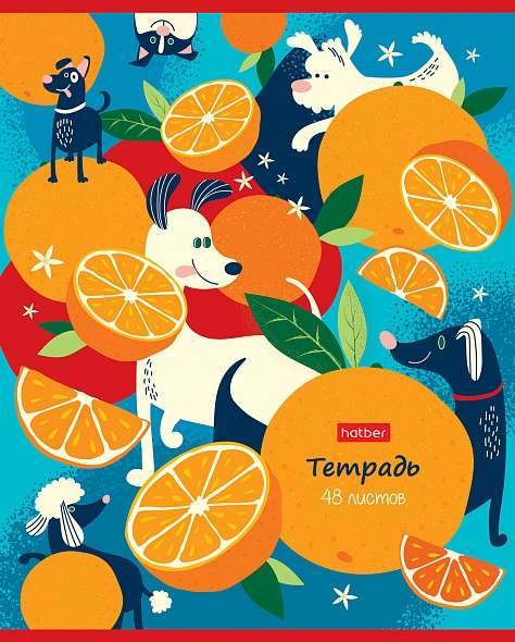Notebook 48 sheets A5 format LINE - Orange Stories