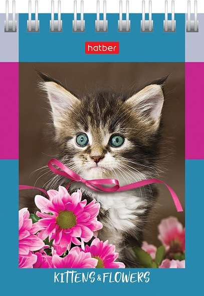 Notebook 60 sheets A7f grid - On soft paws