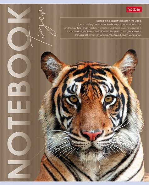 Notebook 80 sheets A5 grid - Wild and Free