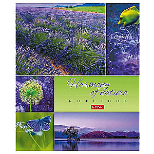 Notebook 80 sheets A5F grid - Harmony of Nature