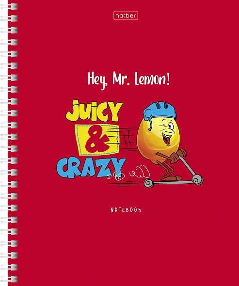 Notebook 48 sheets A5 grid - Mr.Lemon