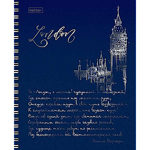 Notebook 96 sheets A5 grid - Shine of capitals