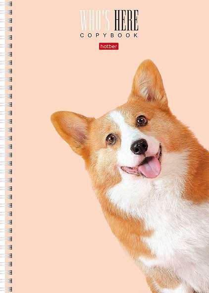 Notebook 96 sheets A4 grid - Who's there?