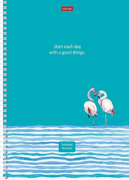 Notebook 80 sheets A4 Lined - Assorted