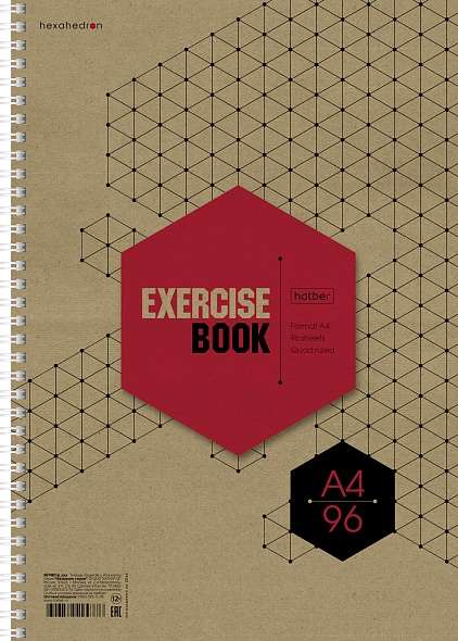 Notebook 96 sheets A4 format grid - Graphics