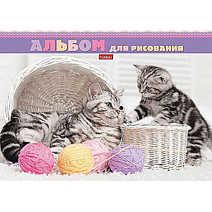 DRAWING ALBUM 24 sheets A4 format