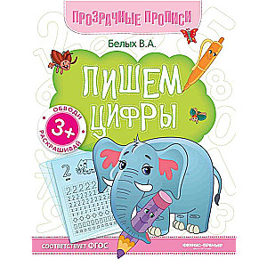 Writing Numbers: Workbook