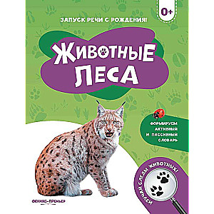 Animals of the Forest 0+