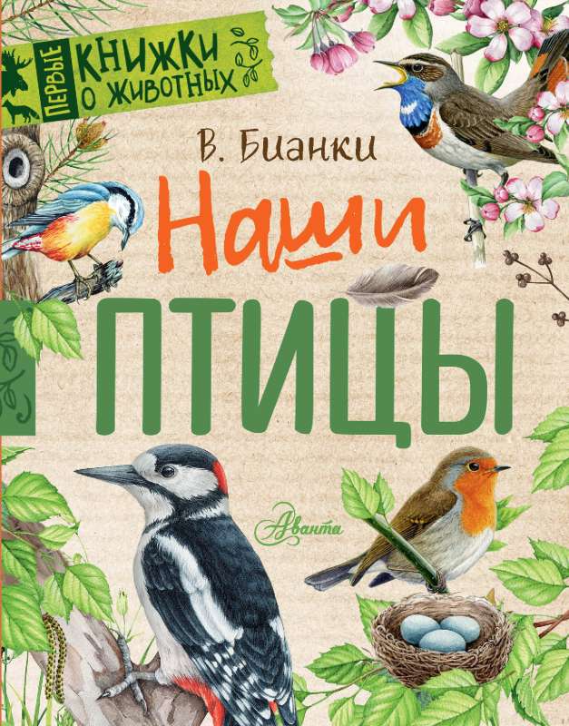 Our Birds