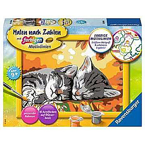 Picture by numbers 13X18cm Gray Kittens