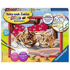 Picture by Numbers 18X24cm Two Ginger Kittens