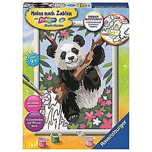 Painting by numbers 18X24cm Panda