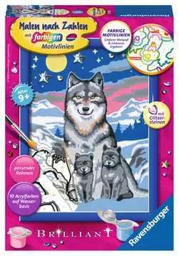 Painting by numbers 13x18cm Wolf