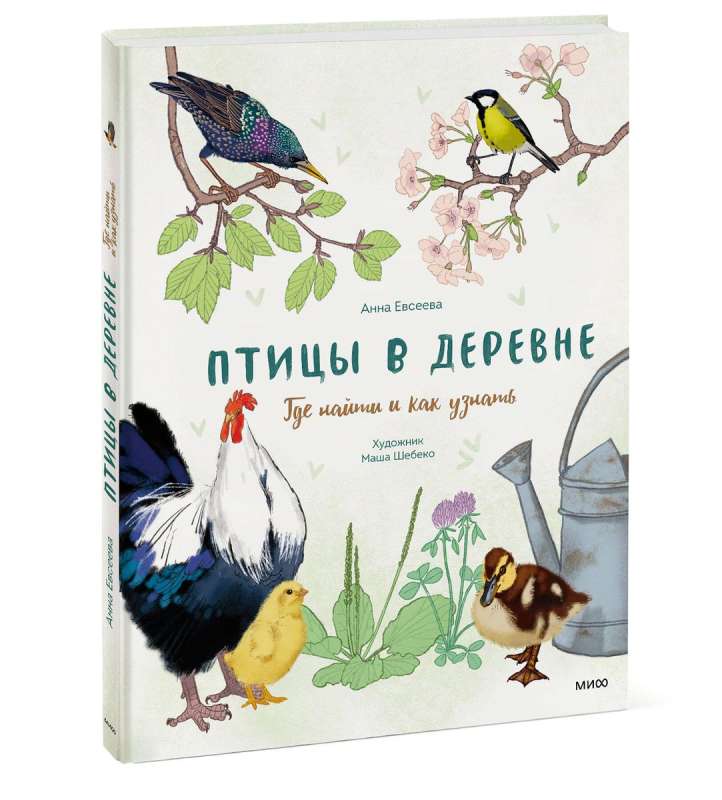 Birds in the Village. Where to Find and How to Recognize