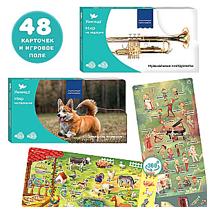 The World in the Palm of Your Hand. Educational Cards. Domestic Animals and Musical Instruments