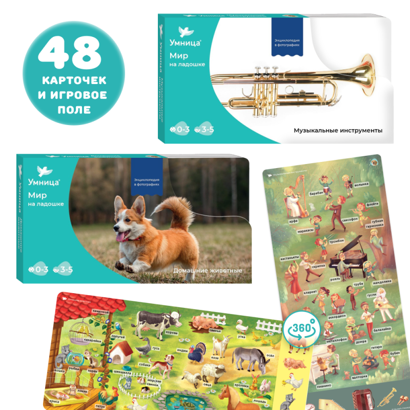 The World in the Palm of Your Hand. Educational Cards. Domestic Animals and Musical Instruments