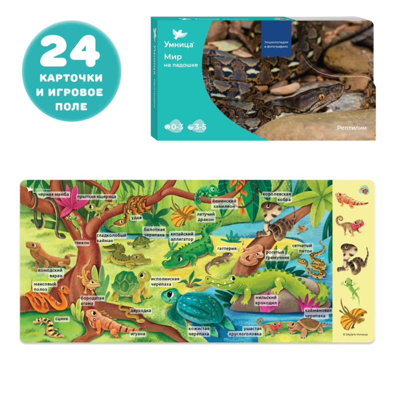 The World in the Palm of Your Hand. Educational cards and games for children. Reptiles