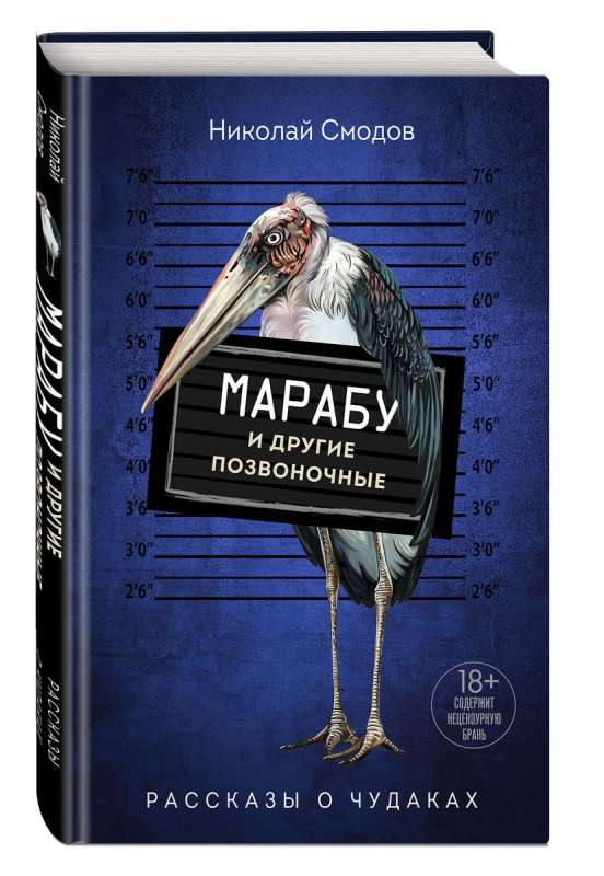 Marabou and Other Vertebrates