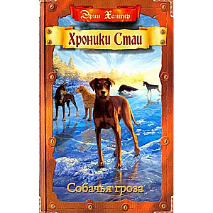 Dog Storm