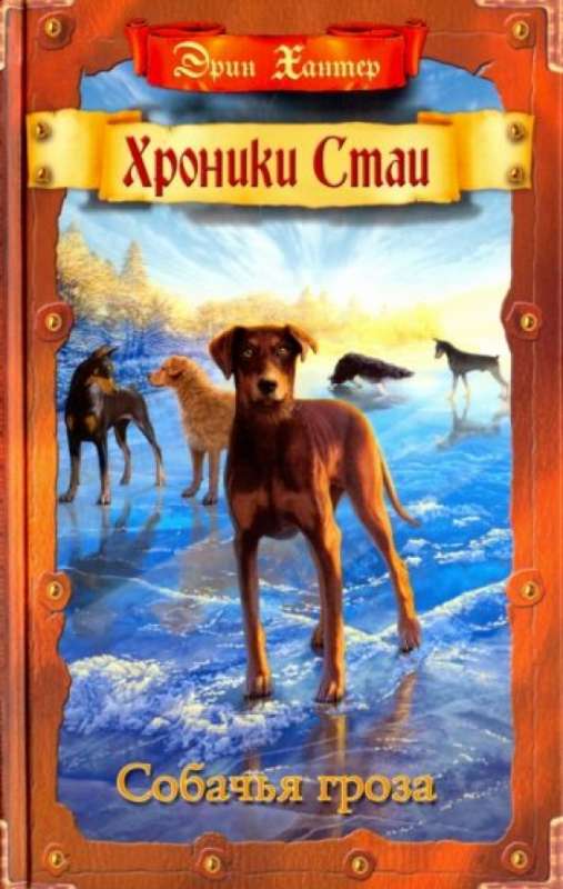 Dog Storm
