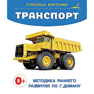 Transport