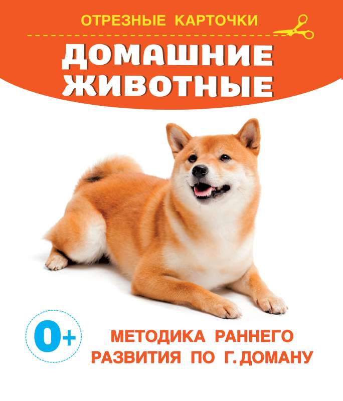 Pets