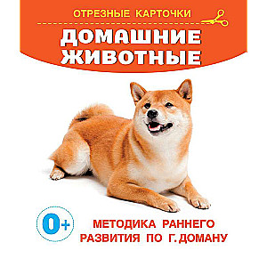 Pets