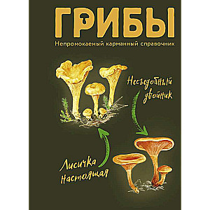 Mushrooms. Waterproof Pocket Guide