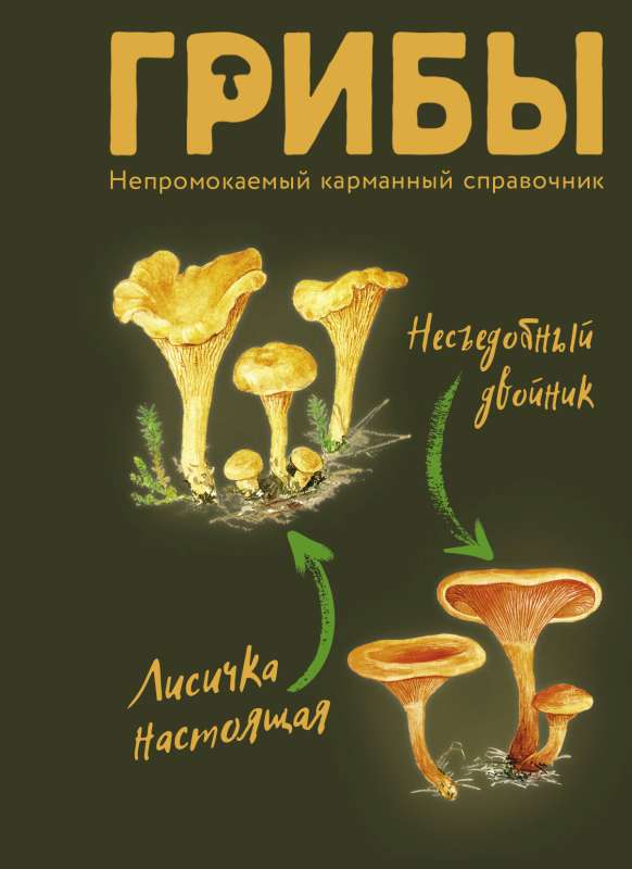 Mushrooms. Waterproof Pocket Guide