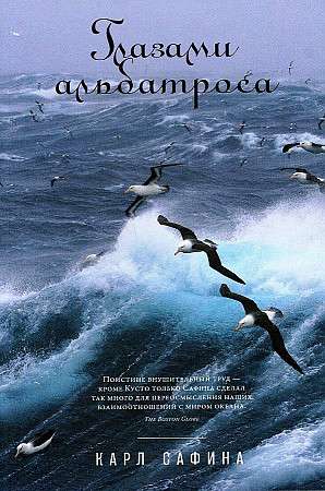 Through the Eyes of an Albatross