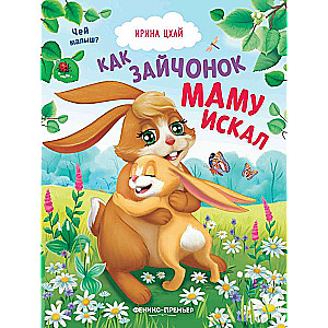How the Bunny Looked for His Mom