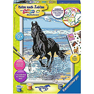 Paint by Numbers 18X24cm Black Horse